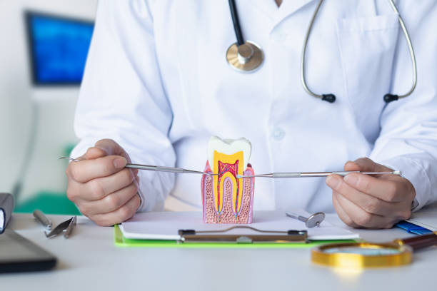 Best Broken or Chipped Tooth Repair in Rock Hill, SC